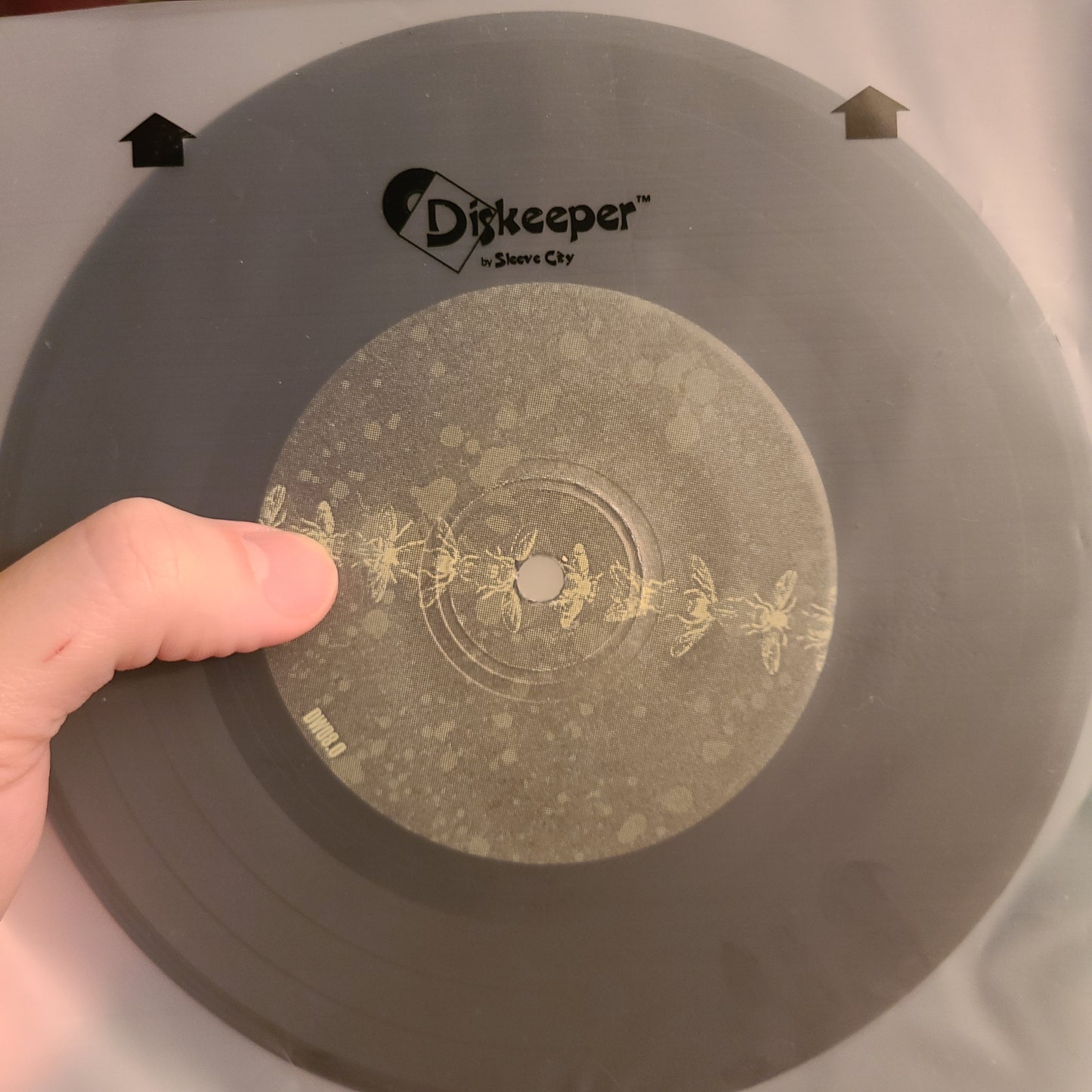 A Life Once Lost - The Fourth Plague: Flies (2003, 7", Black)