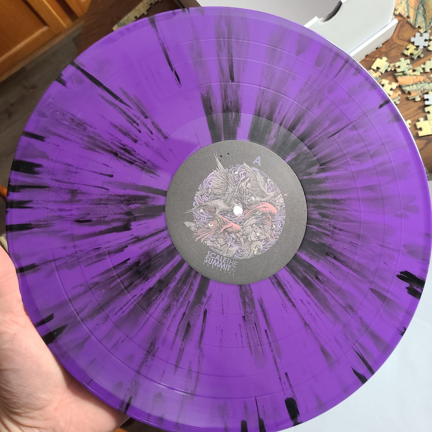 Scale The Summit - Subjects (2021, 2xLP Purple & Black Splatter)
