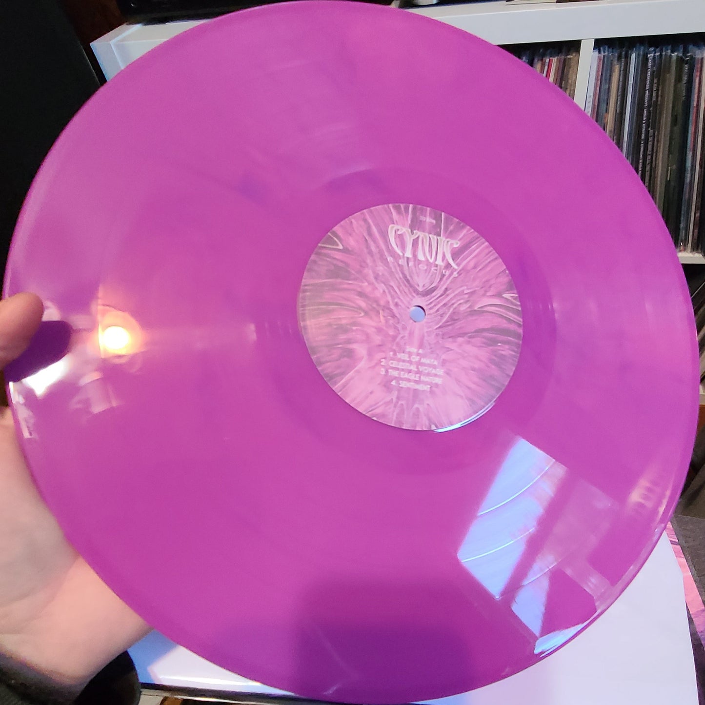 Cynic - ReFocus (2023, Pink & Purple Marble)