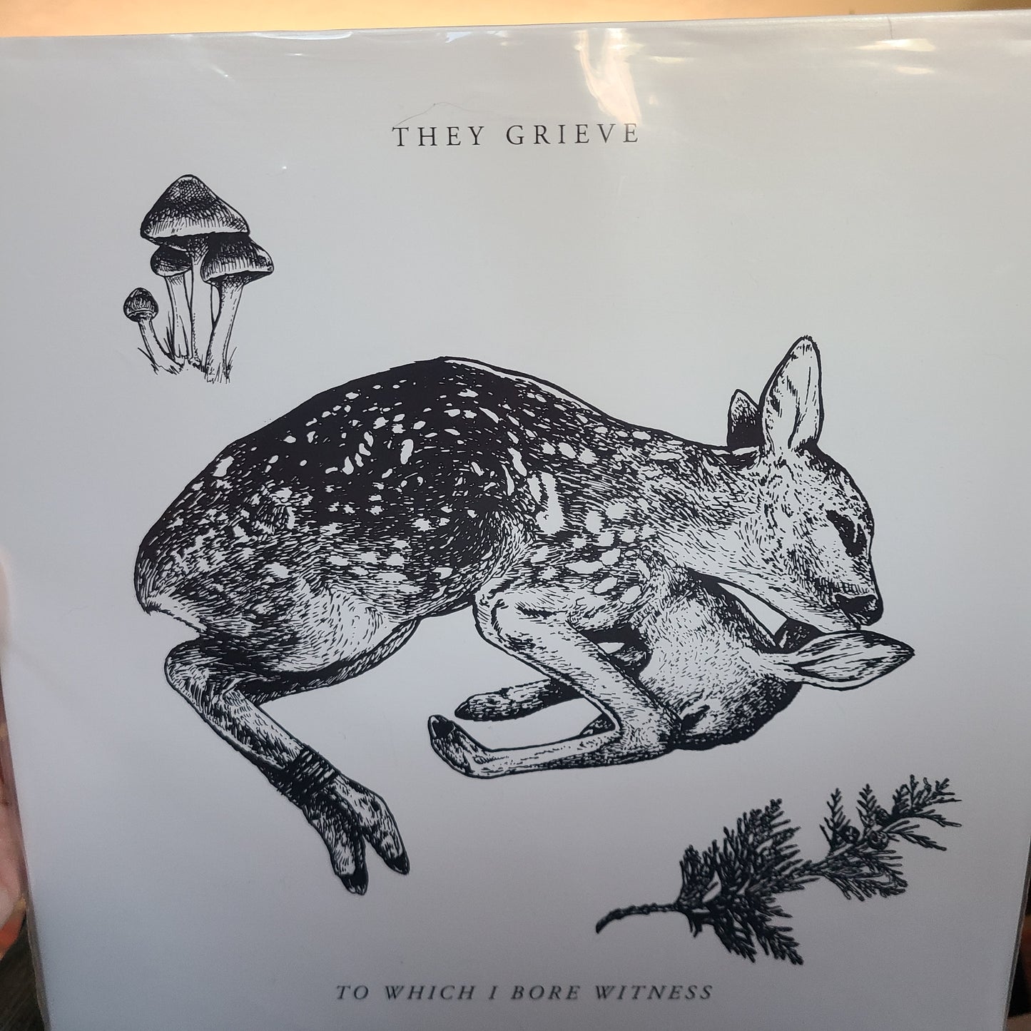 They Grieve - To Which I Bore Witness (2023, Orange Galaxy)